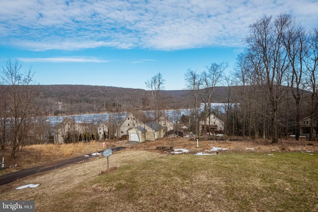 view of yard featuring a wooded view