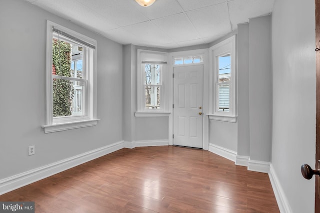 entrance foyer with plenty of natural light, wood finished floors, baseboards, and a drop ceiling