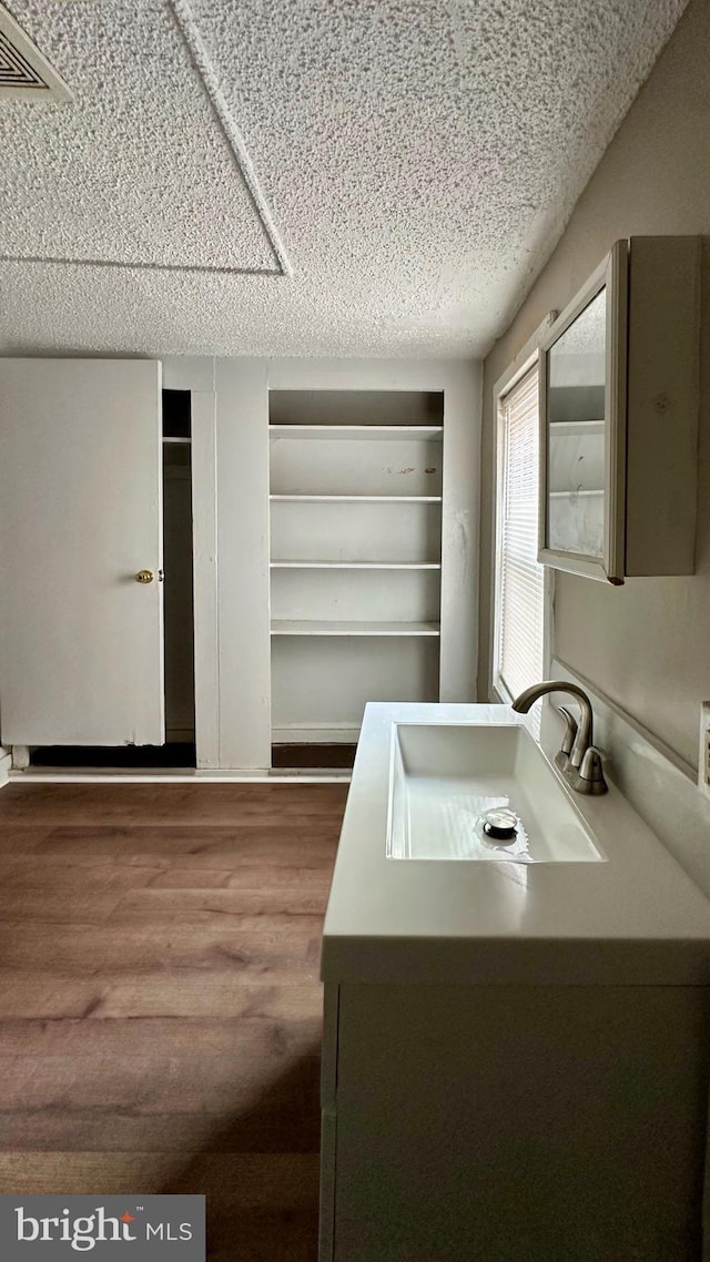 interior space featuring a textured ceiling, wood finished floors, and a sink