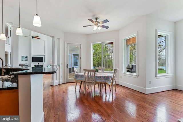 dining space featuring a ceiling fan, a healthy amount of sunlight, and light wood finished floors