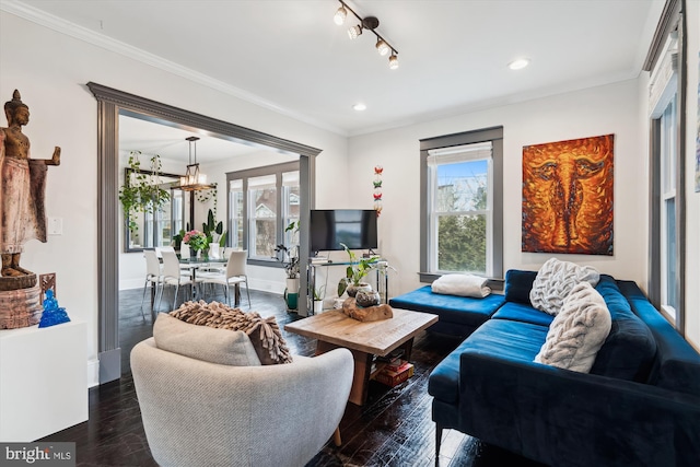 living room with an inviting chandelier, plenty of natural light, dark wood-style floors, and ornamental molding