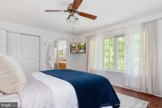 bedroom featuring ceiling fan, ornamental molding, a closet, dark wood-style floors, and ensuite bath