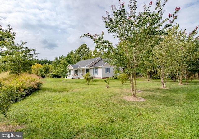 view of yard featuring a porch