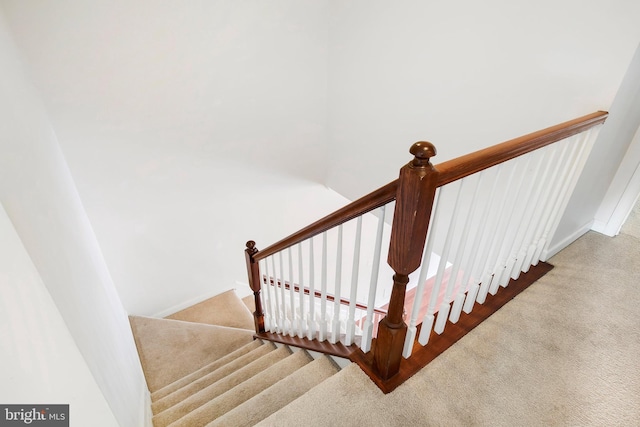 stairway featuring carpet floors