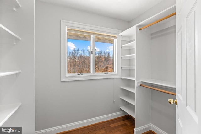 spacious closet with wood finished floors