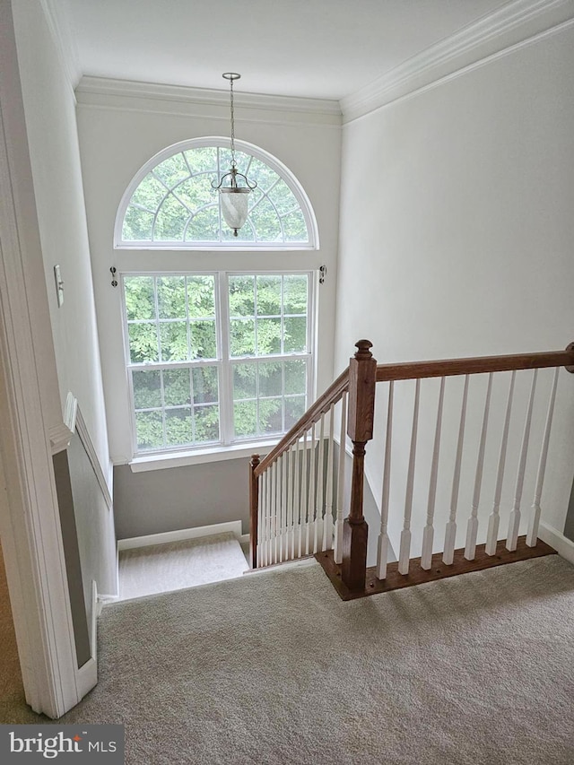 stairs featuring carpet floors, a wealth of natural light, ornamental molding, and baseboards