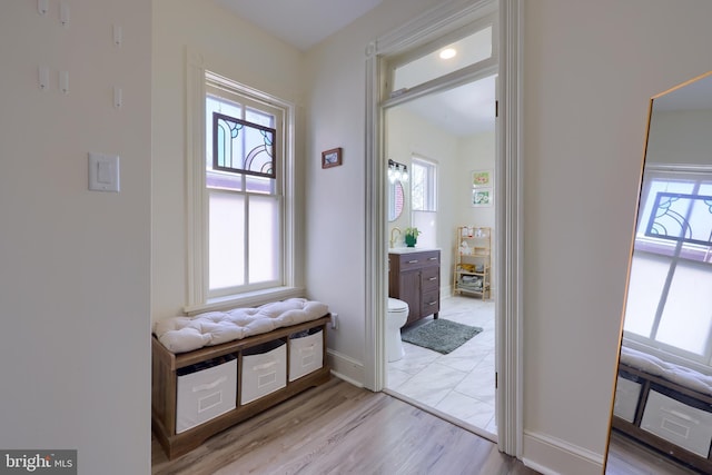 interior space with baseboards, plenty of natural light, and light wood-style floors