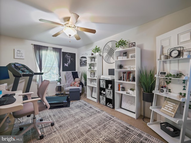 exercise room with carpet flooring and a ceiling fan