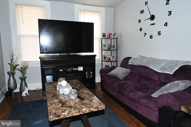 living area with wood finished floors