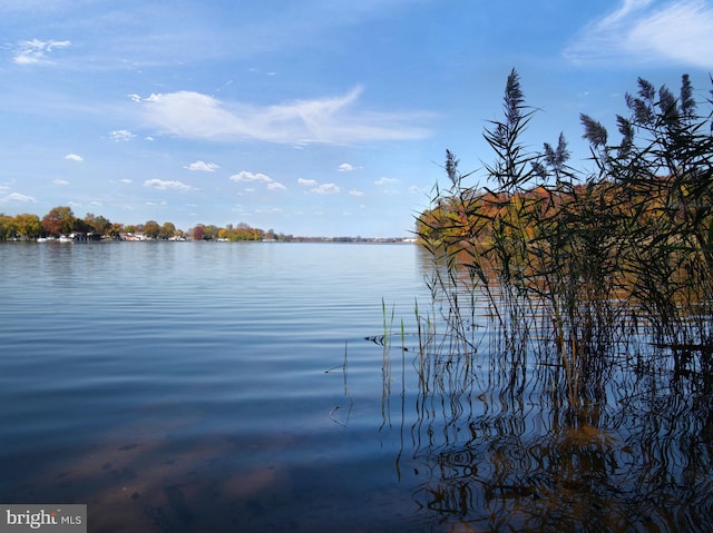 view of water feature