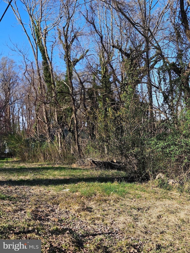 view of local wilderness