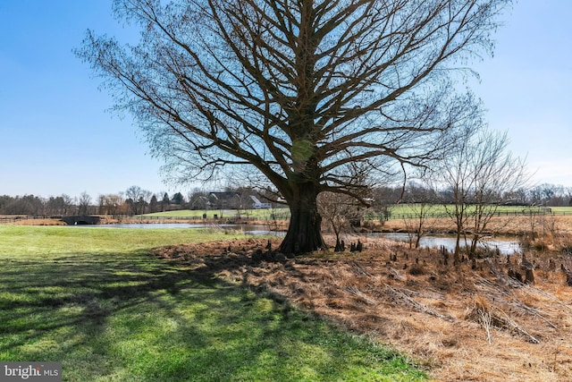 view of yard with a water view and a rural view