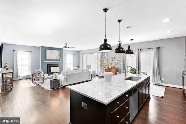 kitchen with a sink, plenty of natural light, stainless steel dishwasher, dark wood finished floors, and a fireplace