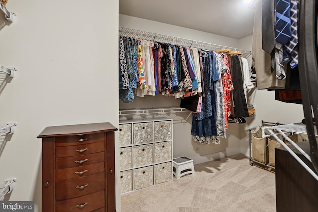 walk in closet featuring carpet flooring