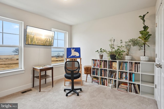 office space featuring visible vents, baseboards, and carpet