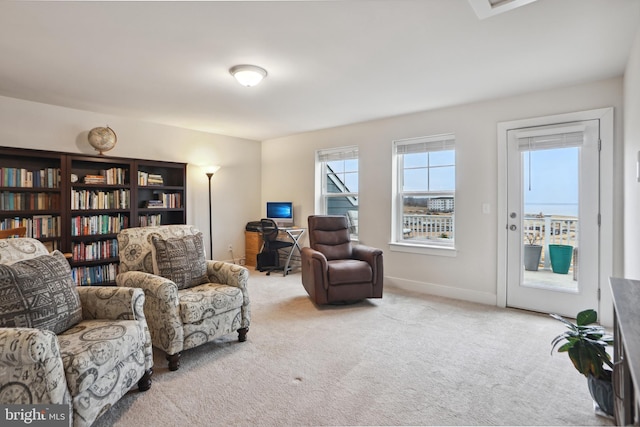 living area with carpet and baseboards