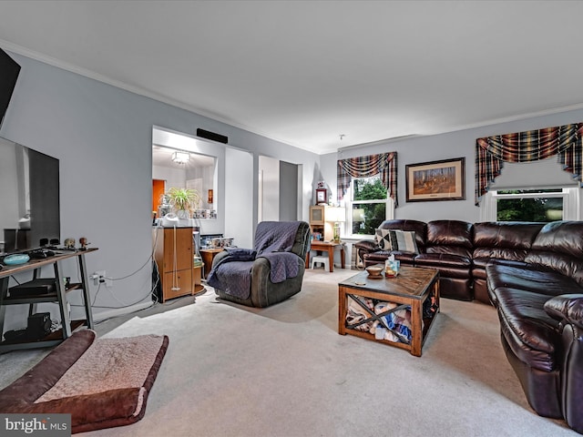 carpeted living room with crown molding