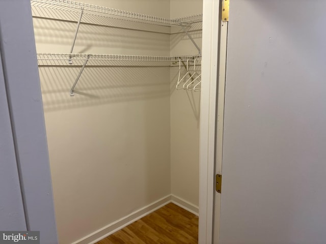 view of closet