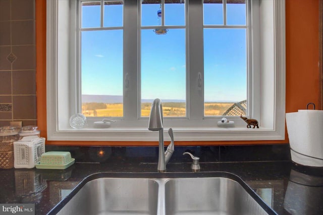 details featuring dark stone counters and a sink