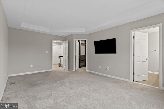 interior space featuring baseboards, a raised ceiling, carpet floors, and a spacious closet