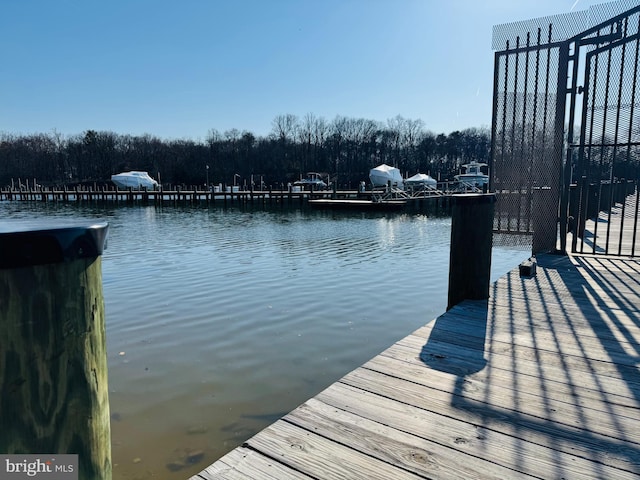 dock area featuring a water view