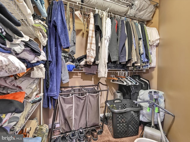 spacious closet featuring carpet