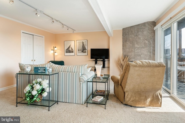 carpeted living area with ornamental molding, rail lighting, beamed ceiling, and baseboards