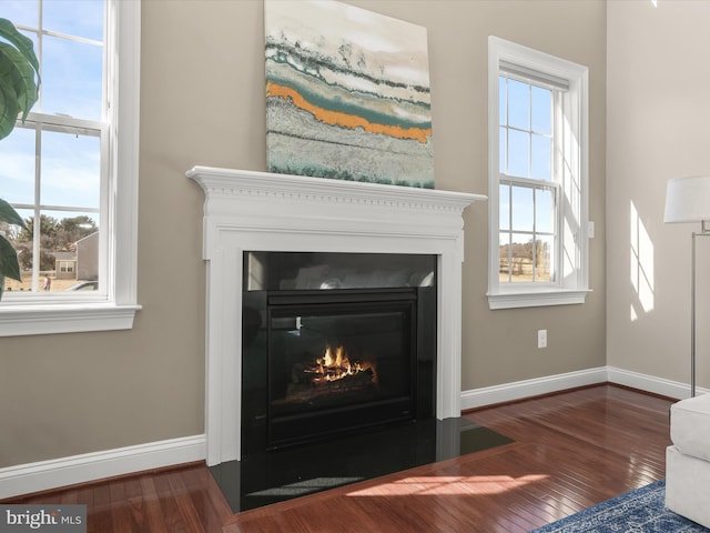 room details featuring a glass covered fireplace, baseboards, and wood finished floors