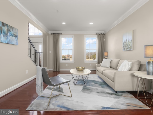 living room with wood finished floors, a healthy amount of sunlight, and ornamental molding