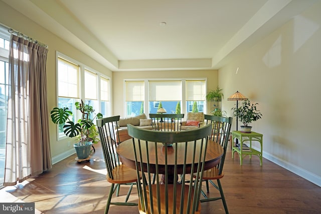 dining room with baseboards and wood finished floors