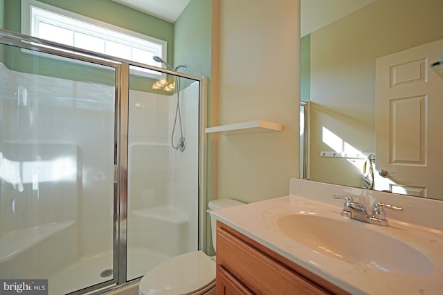 bathroom with toilet, a shower stall, and vanity