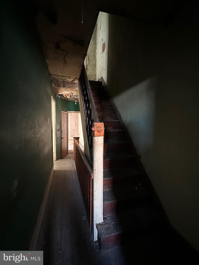 hall featuring wood finished floors