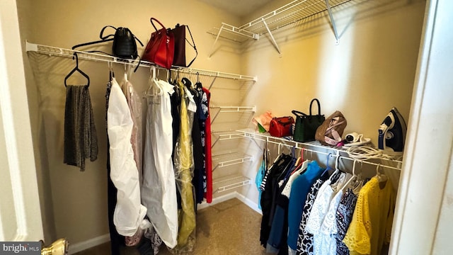 spacious closet with carpet