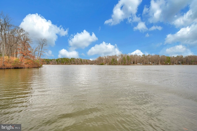 property view of water with a wooded view