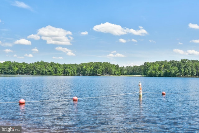 water view featuring a forest view