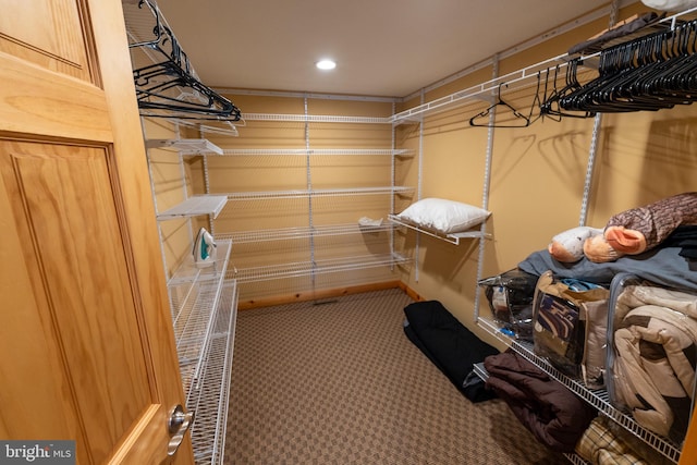 walk in closet featuring carpet