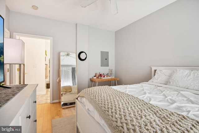 bedroom with electric panel, baseboards, light wood-style floors, and a ceiling fan