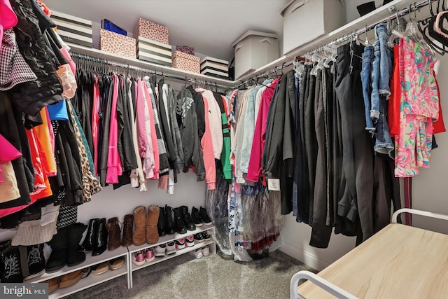 spacious closet with carpet floors