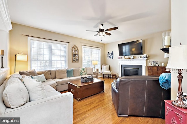 living room featuring a glass covered fireplace, light wood finished floors, and ceiling fan