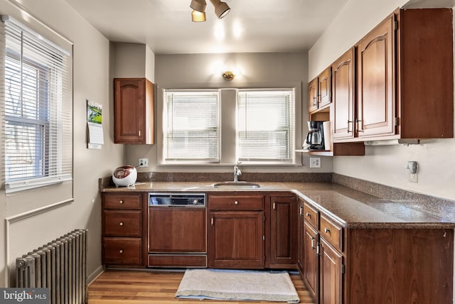 kitchen featuring light wood finished floors, dark countertops, radiator heating unit, a sink, and dishwasher