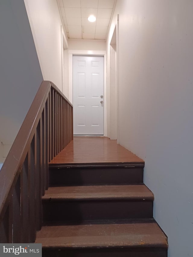 stairs featuring a drop ceiling