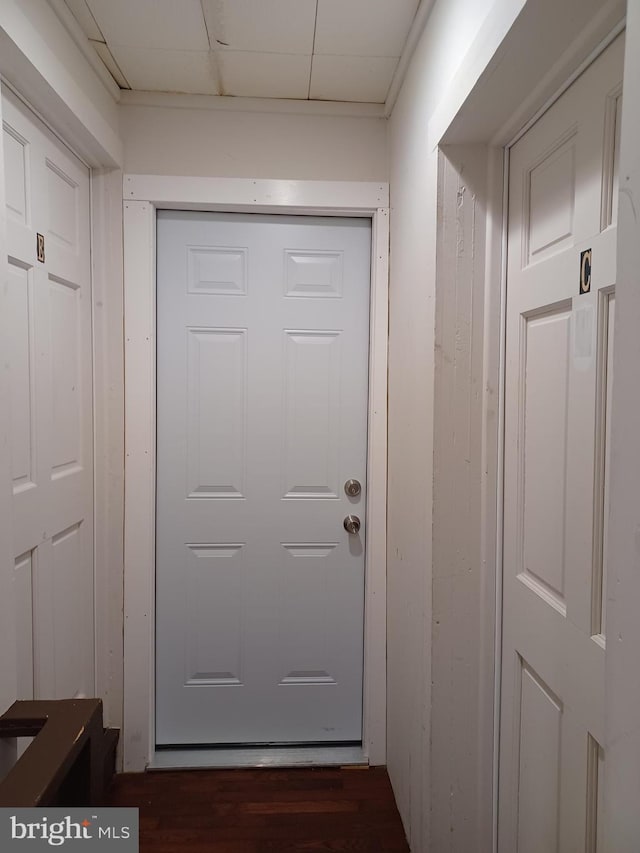 doorway featuring dark wood-style floors