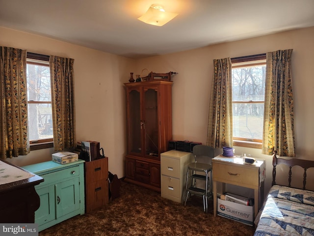 office area featuring dark colored carpet and a healthy amount of sunlight