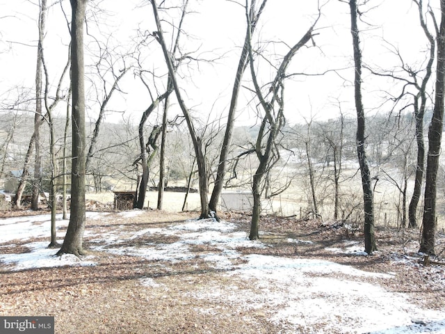 view of snowy yard