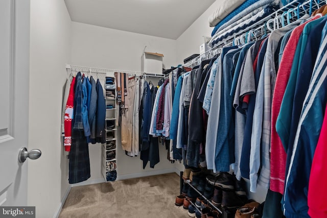 spacious closet with carpet floors