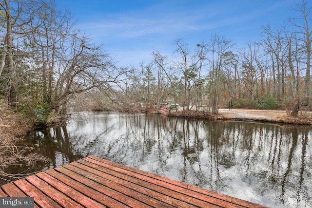 dock area featuring a water view