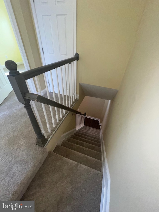 stairs with carpet floors and baseboards