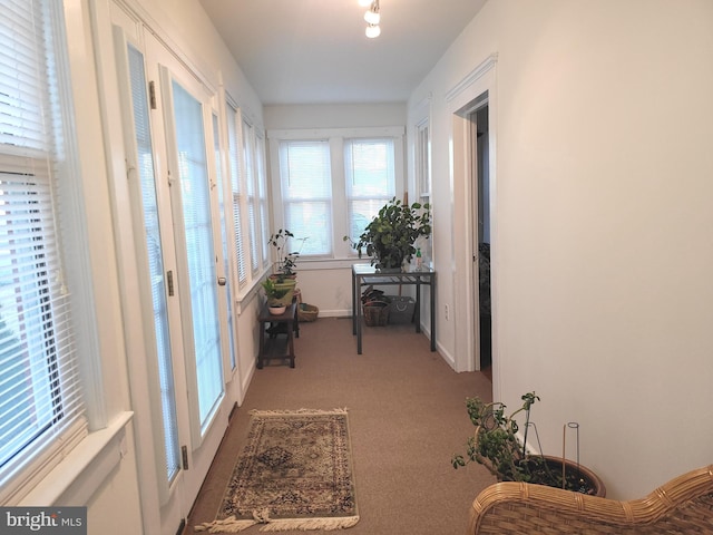 hall featuring carpet floors and baseboards