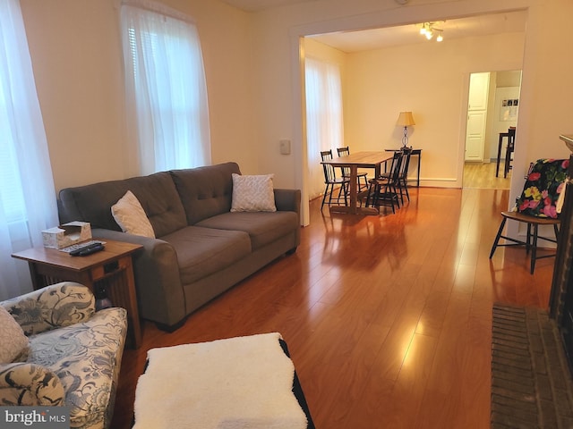 living room featuring wood finished floors