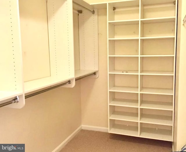 spacious closet featuring carpet floors